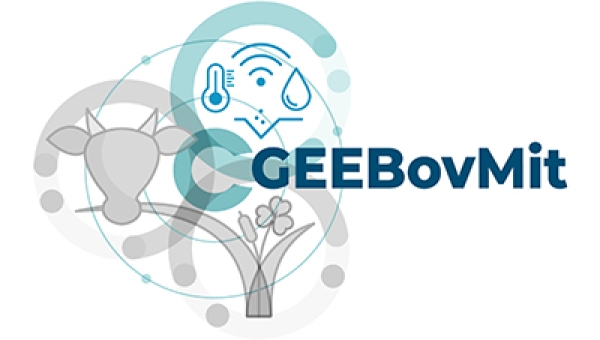 Projeto PRR GEEBovMit LA 3.3 - Mitigação das emissões de GEE na produção de bovinos de carne – pastagens, forragens e aditivos naturaisentra em fase de conclusão com resultados relevantes para o setor forrageiro